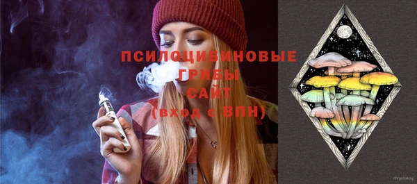 apvp Зеленодольск